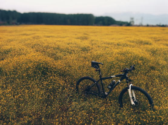 Bicycle Aerial Filming and Photography